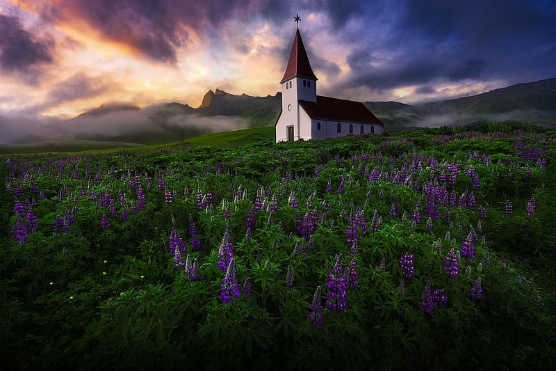 Nature, Building, Iceland, Church, Churches, Purple Flower, Religious, HD wallpaper