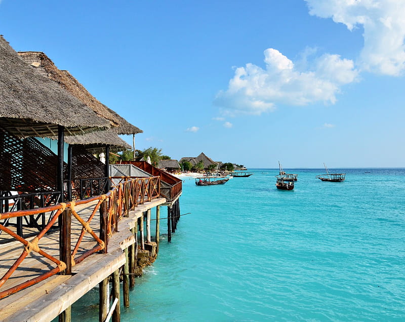 Bungalows in the Zanzibar Islands, oceans, cottages, sea, paradise, beach huts, beaches, bungalows, nature, tropical, villas, HD wallpaper