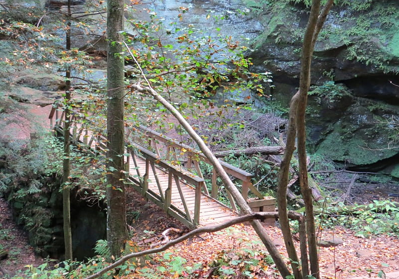 Walking Bridge to Rockouse, architecture, forest, stream, fall, autumn, Ohio, Hocking Hills, pine, bridge, path, trail, nature, hike, wood, HD wallpaper