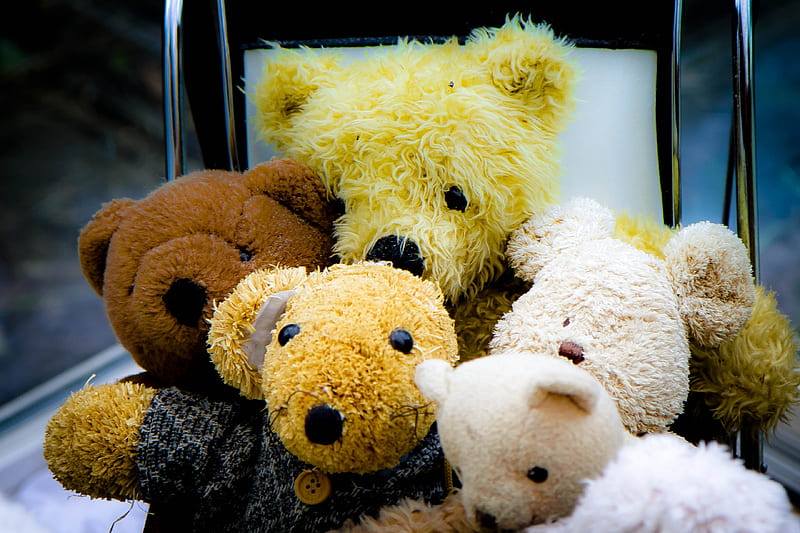 Teddy Bear and Friends, friend, fluffy, teddy, bear, nappy, sweet, graphy, plush, texture, friendship, love, soft toy, friends, cute, honey, sweetness, teddy bear, contact, HD wallpaper