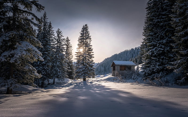 winter, forest, snow, mountain landscape, sunset, Switzerland, hut, HD wallpaper