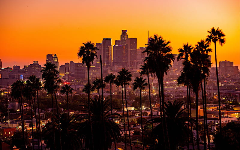Los Angeles, skyscrapers, LA cityscape, evening, sunset, palm trees, Los Angeles cityscape, California, USA, HD wallpaper