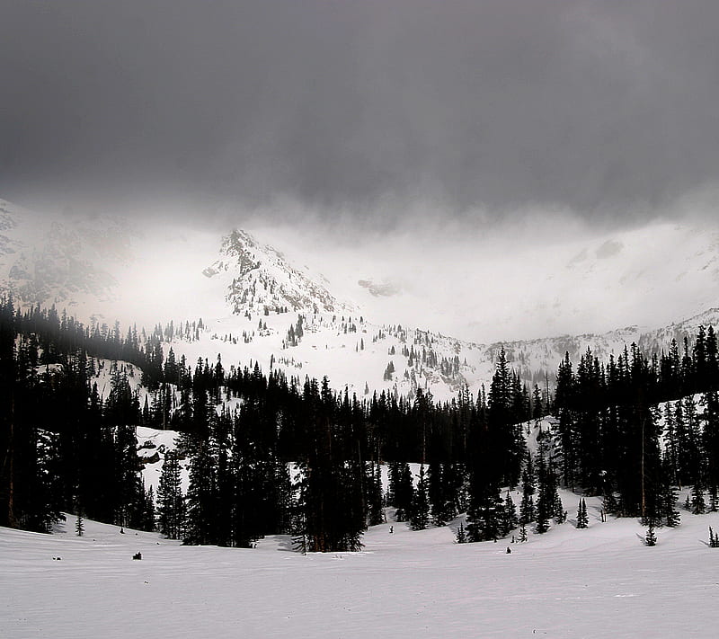 Stormy Mountain, black and white, cold, forest, snow, storm, winter, HD wallpaper