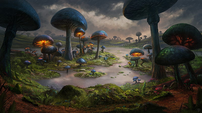 Glowmire, dominique van velsen, world, art, fantasy, luminos, mushroom, blue, HD wallpaper