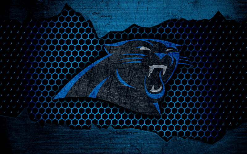 Carolina Panthers logo, NFL, american football, NFC, USA, grunge, metal texture, South Division, HD wallpaper