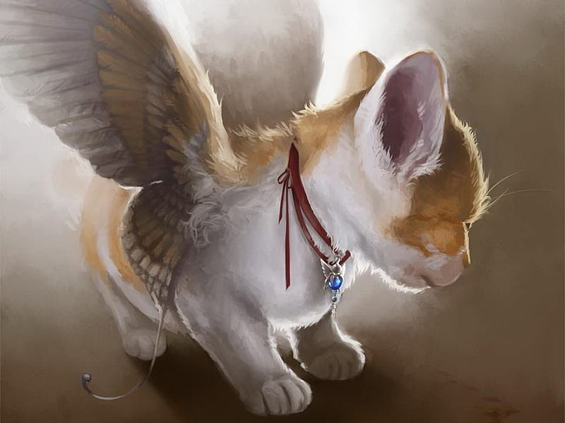 Angel Kitty, wings, cat, abstract, artwork, feline, paws, fantasy, whiskers, kitten, fur, animals, HD wallpaper