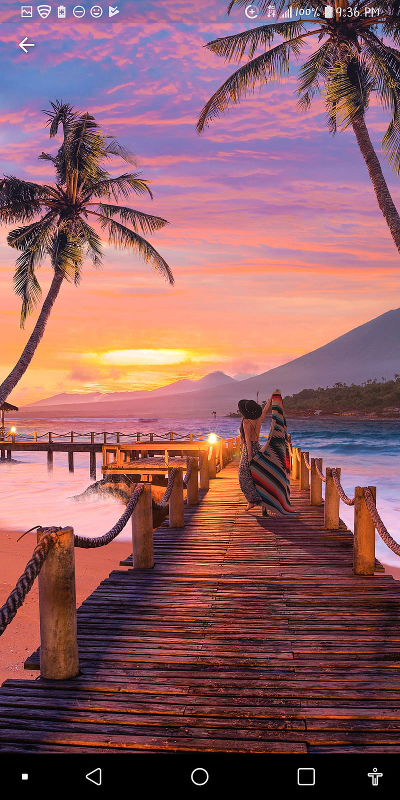 Hawaii, bonito, beaches, palm trees, aloha, HD phone wallpaper