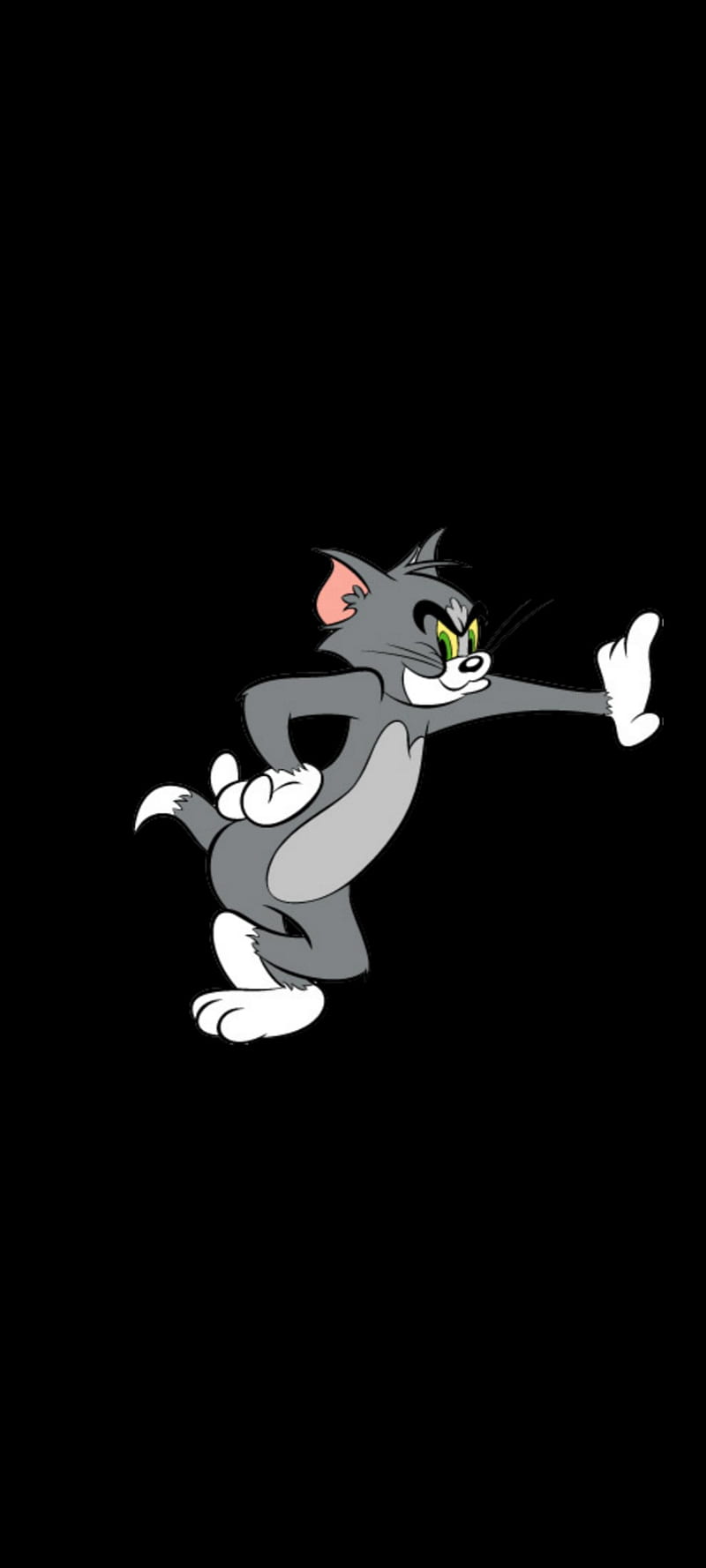 Tom and Jerry Wallpaper Download  MobCup