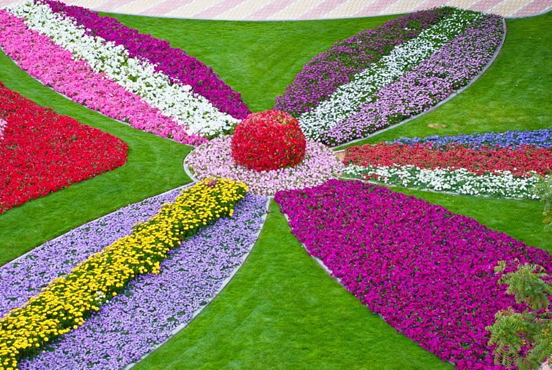 Flowers in the Round, red, annuals, purple, green, flowers, gardens, yellow, pink, HD wallpaper