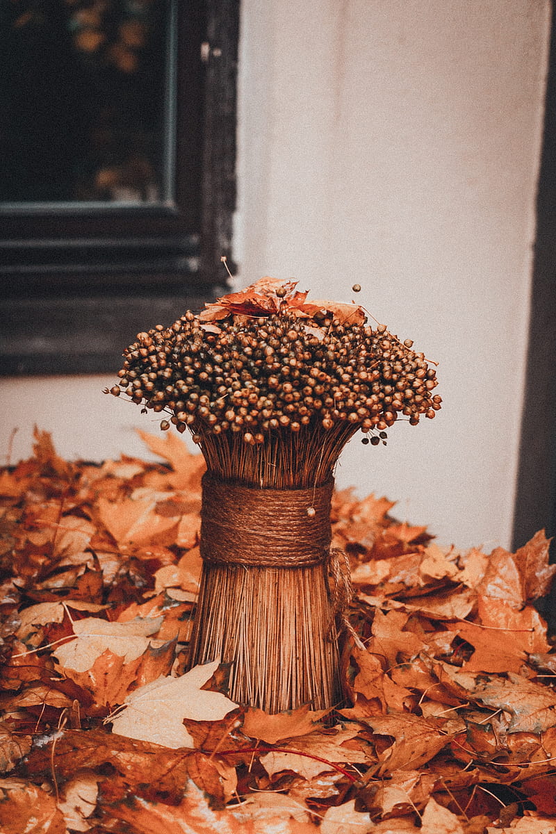 bouquet, bunch, dry, foliage, autumn, HD phone wallpaper