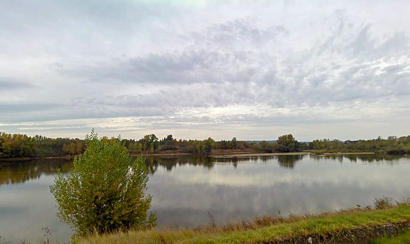 Loire River, tree, water, france, grass, river, clouds, sky, HD wallpaper