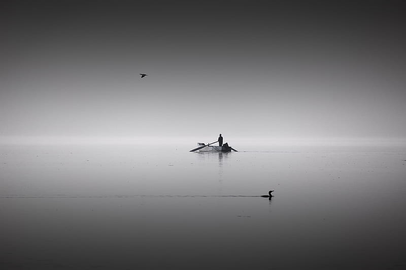 lake, boat, calm, horizon, silence, man, birds, bw, HD wallpaper