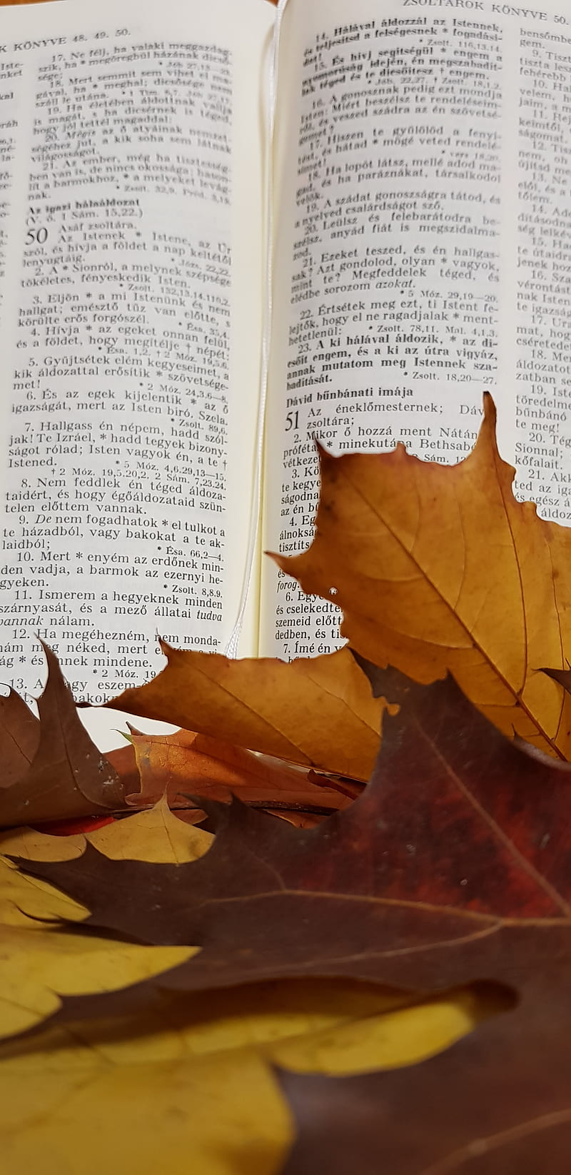 33 Autumn Scriptures Verses