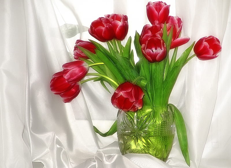 Lovely Tulips, red, pretty, red tulips, vase, bonito, still life, graphy, flowers, beauty, tulips, tulip, lovely, romantic, romance, colors, nature, white, HD wallpaper