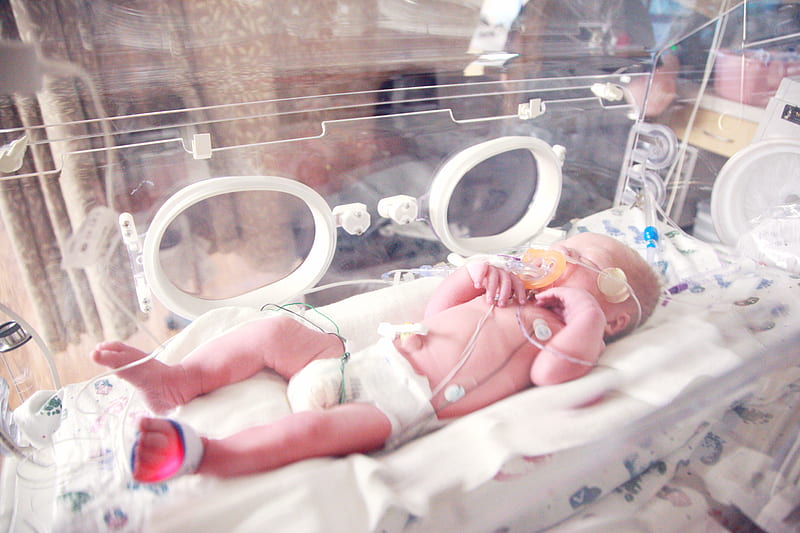 baby lying in incubator, HD wallpaper
