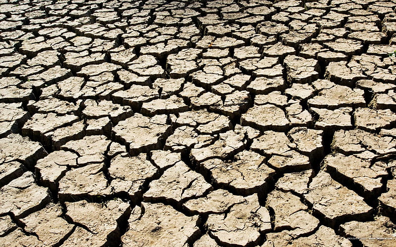 The drought, Drought, Earth, Dryness, Nature, HD wallpaper