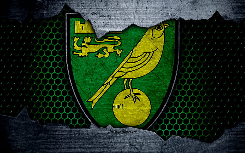 Norwich City FC football, Premier League, England, emblem, logo, football club, Norwich, UK, metal texture, grunge, HD wallpaper