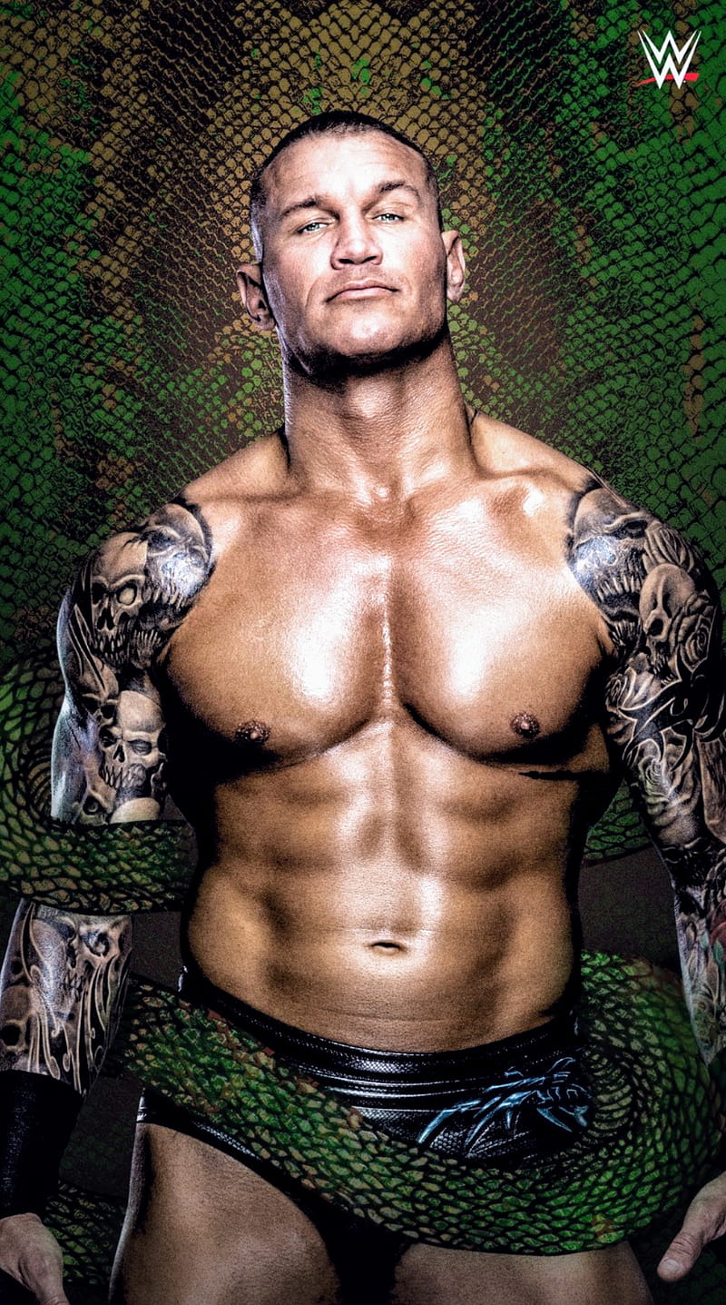 The Viper Randy Orton GIFs | Tenor