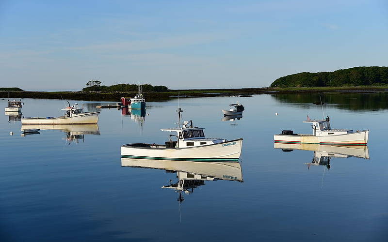 Lobster Boats at Rest, marina, boats, water, reflection, HD wallpaper