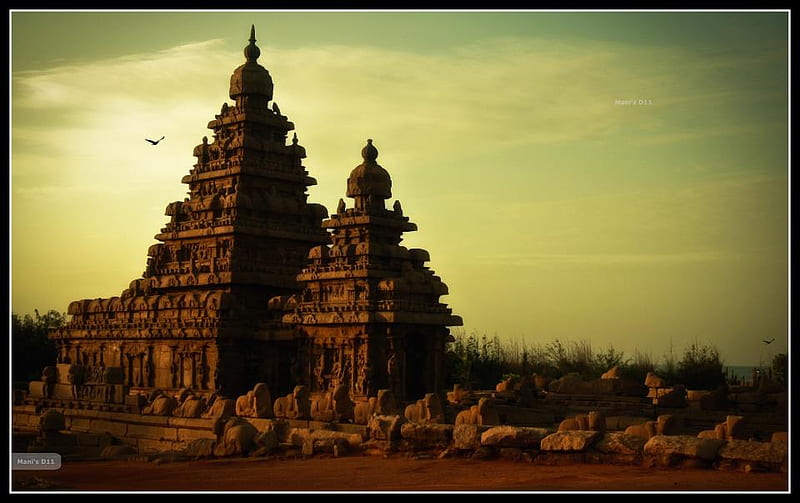 shore temple, mamallapuram, temple, mamallapuram, shore, ancient, HD wallpaper