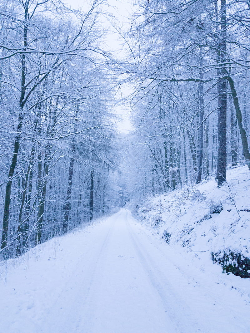 park, path, winter, snow, trees, HD phone wallpaper