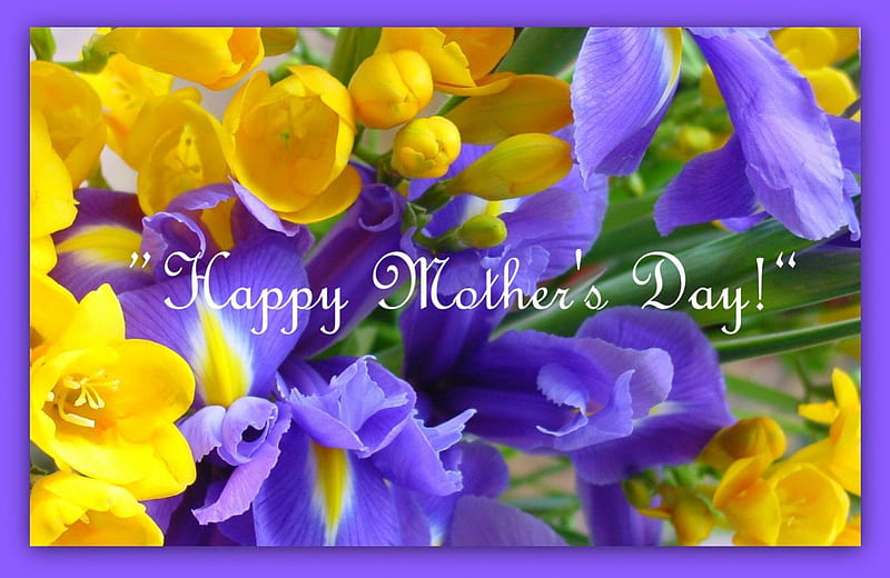 Mothers Day, holiday, flowers, irises, sias, card, HD wallpaper