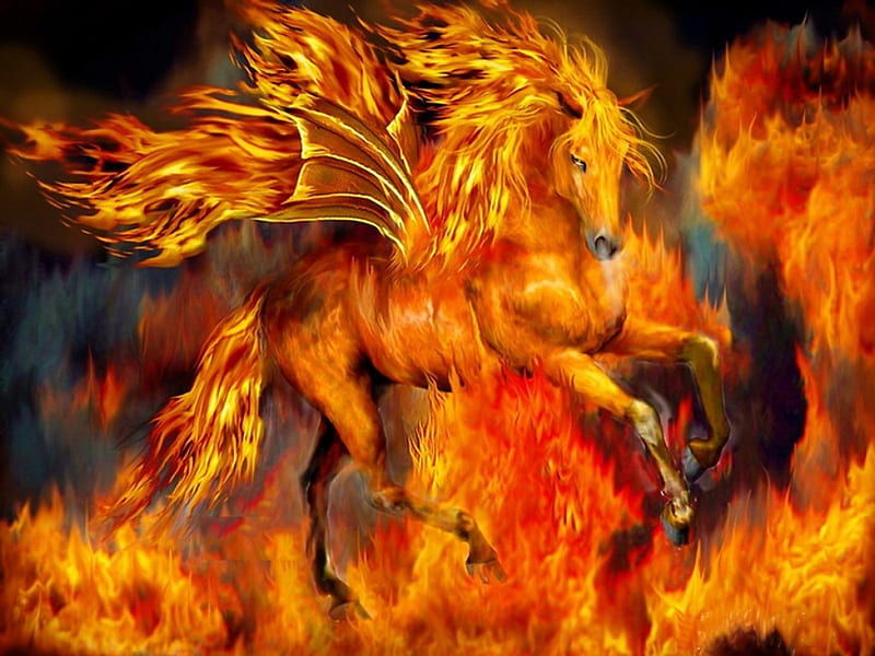 Fire Dancer, Dancer, fantasy, Fire, unicorn, HD wallpaper