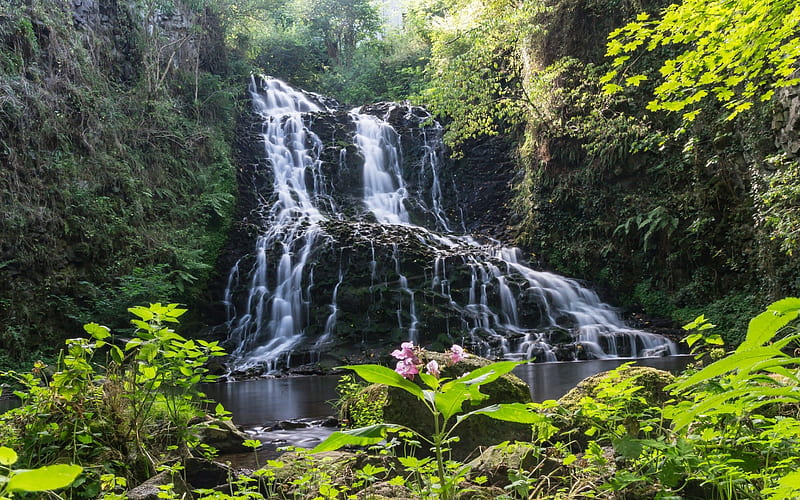 waterfall, rocks, rainforest, forest, summer, beautiful waterfall, HD wallpaper