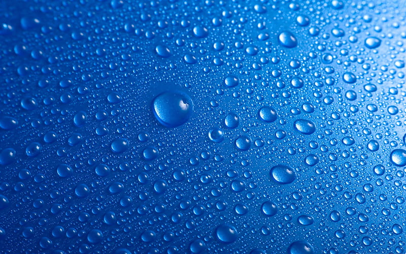 water droplet-Drops of water droplets macro graphy, HD wallpaper