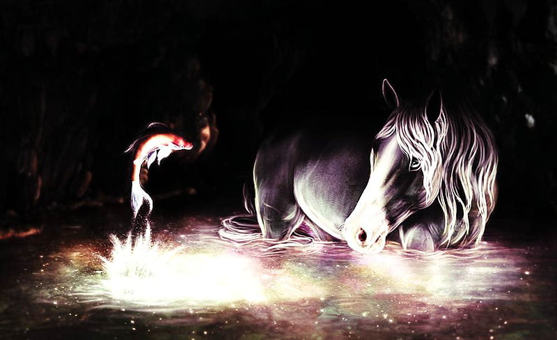 Horse Looking at a Fish, water, fish, animals, horses, HD wallpaper