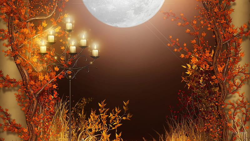 In Color, fall, autumn, grass, orange, lit, firefox persona, sky, candles, leaves, full moon, beam, light, HD wallpaper