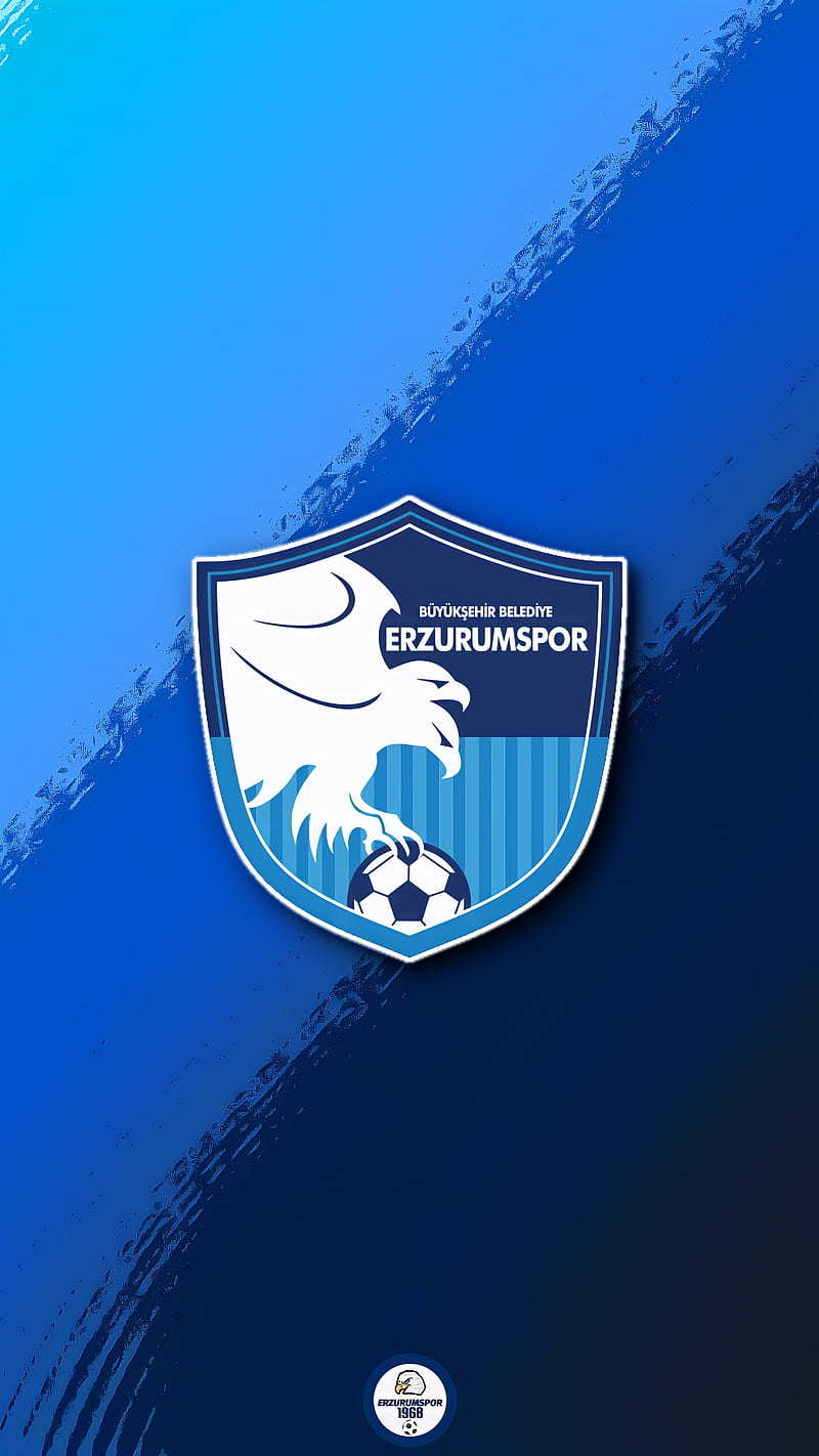 Erzurumspor, erzurum, flag, football, HD phone wallpaper
