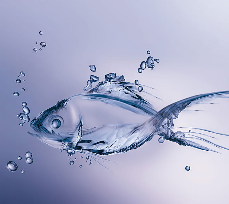 Glassy Fish, abstract, glass, water, HD wallpaper