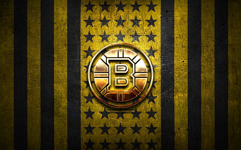 Download Sky Blue And White Boston Bruins Logo Wallpaper  Wallpaperscom