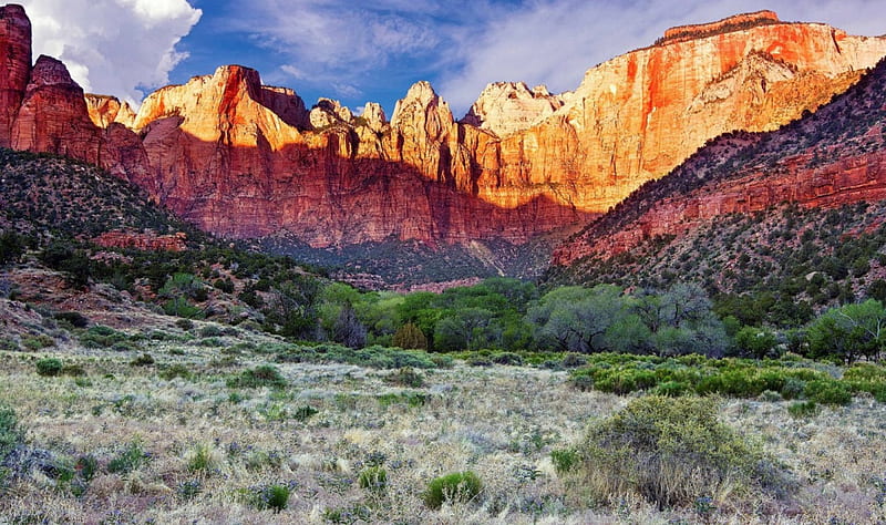 Zion National Park - Utah, Mojave Desert, Springdale, Utah, Mesozoic age, HD wallpaper