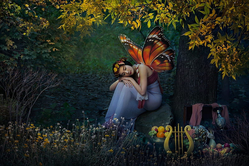 Autumn fairy, Forest, Girl, Wings, Harp, Butterfly, HD wallpaper