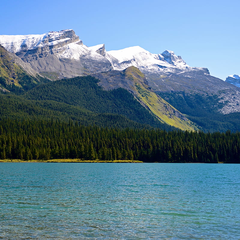Nature Glacier, lake, mountain, sea, tree, water, HD phone wallpaper