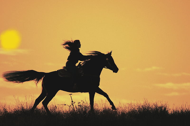 Sunset Rider . ., cowgirl, ranch, Silhouette, sunset, women, horses, style, western, HD wallpaper