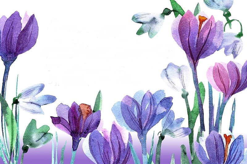 Crocuses and snowdrops, purple, spring, white, primavara, blue, card, art, snowdrop, crocus, flower, watercolor, HD wallpaper