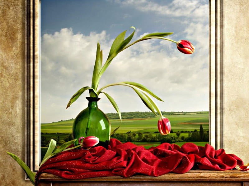 Still Life, ledge, flowers, vase, nature, petals, HD wallpaper