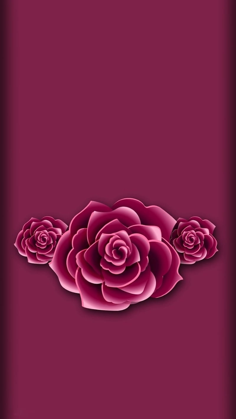Rosa, rosas, rosa, amor, flor, bonito, Fondo de pantalla de teléfono HD |  Peakpx