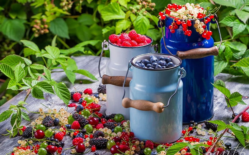 Berries, cranberry, berry, food, fruits, blueberry, summer, raspberry, HD wallpaper
