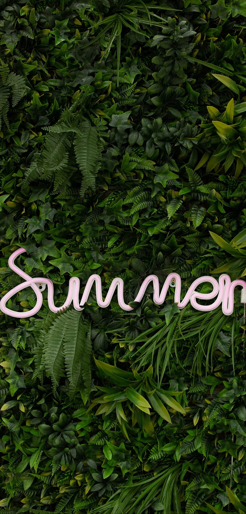 1366x768px, 720P free download | Summer, neon, HD phone wallpaper | Peakpx