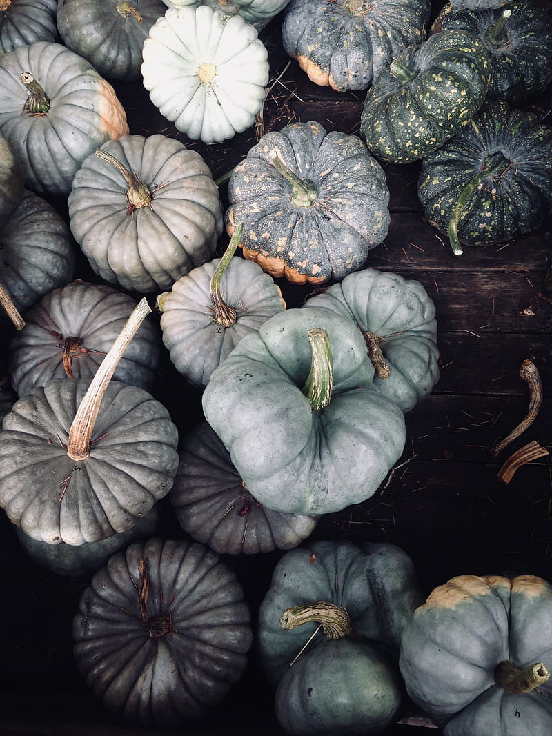 pumpkin, vegetables, gray, HD phone wallpaper