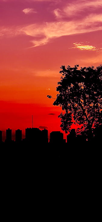 Minimalist City Sunset Buildings HD 4K Wallpaper #8.1390