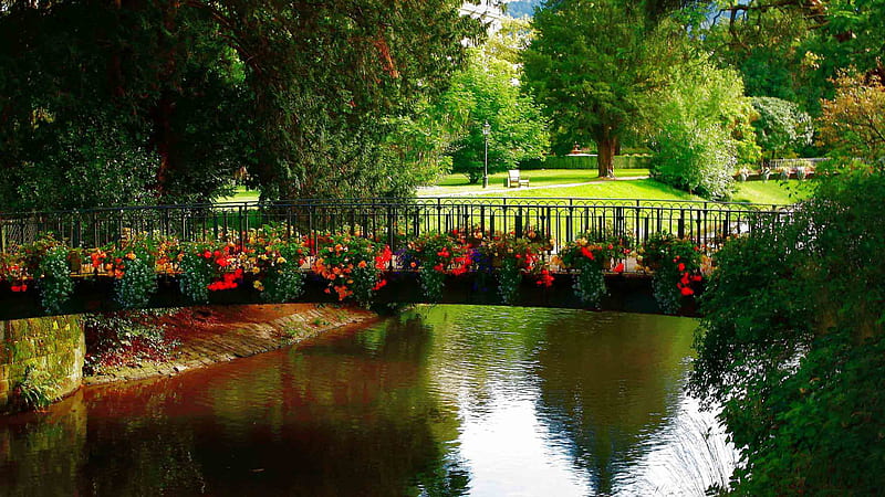 Bridge With Colorful Flowers Above Water Between Green Trees Beautiful, HD wallpaper