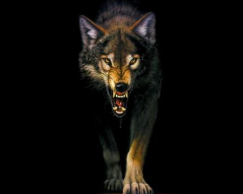 xwolfe, stare, alarmed, angry, fantasy, 3d, hackles, canines, fierce, face, wolf, HD wallpaper