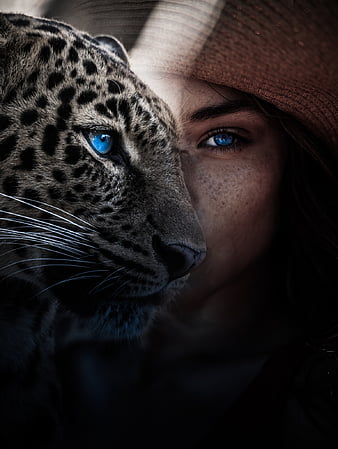 snow leopard with blue eyes wallpaper