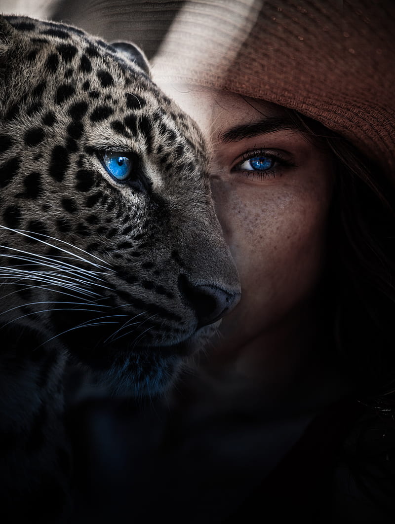 Animal, blue, eyes, jaguar, leopards, lock, screen, snow, HD phone  wallpaper | Peakpx