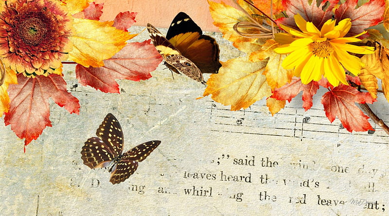 Song of Autumn, fall, autumn, leaves, notes, music, flowers, butterflies, vintage, HD wallpaper